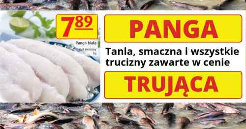 Panga szkodzi zdrowiu
