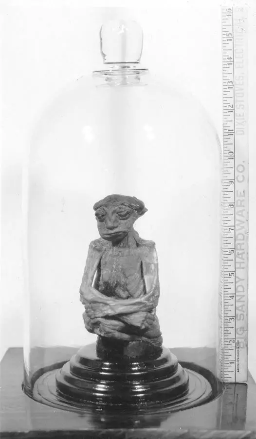 Wysokość znalezionej mumii w pozycji siedzącej wynosiła około 15 cm