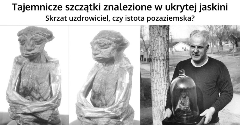 Tajemnicze szczątki istoty o imieniu Pedro