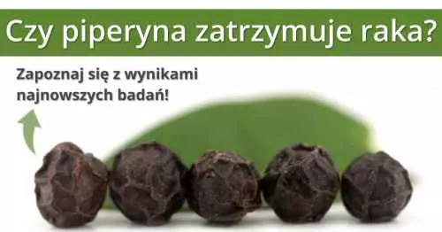 Działanie antynowotworowe piperyny - Czy piperyna zatrzymuje raka?