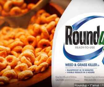 Roundup w płatkach śniadaniowych (3)