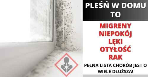 Pleśń w domu zagraża zdrowiu
