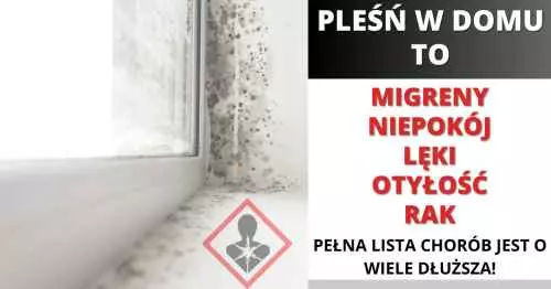 Pleśń w domu zagraża zdrowiu