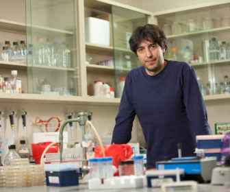 Profesor Longo