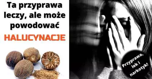 Gałka muszkatołowa powoduje halucynacje!