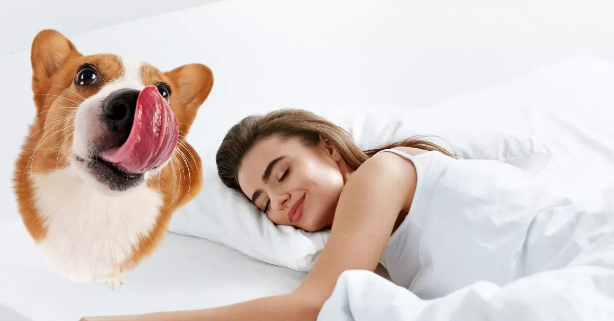 Jak sennik interpretuje sen o psie?