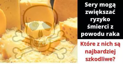 Sery - czy sery są zdrowe?