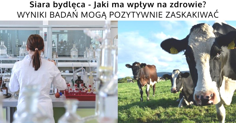 Siara bydlęca - Czym jest i jak działa kolostrum
