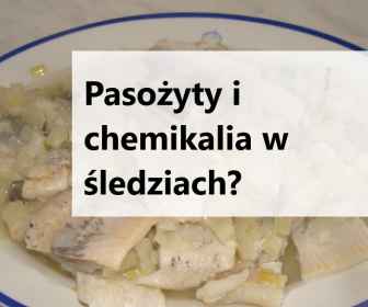 Czy śledzie są zdrowe? Jest to bardzo wątpliwe!