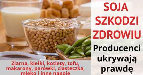 Soja i produkty sojowe