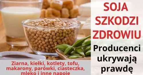 Soja i produkty sojowe