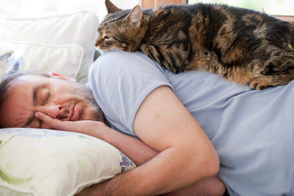Spanie z kotem (1)