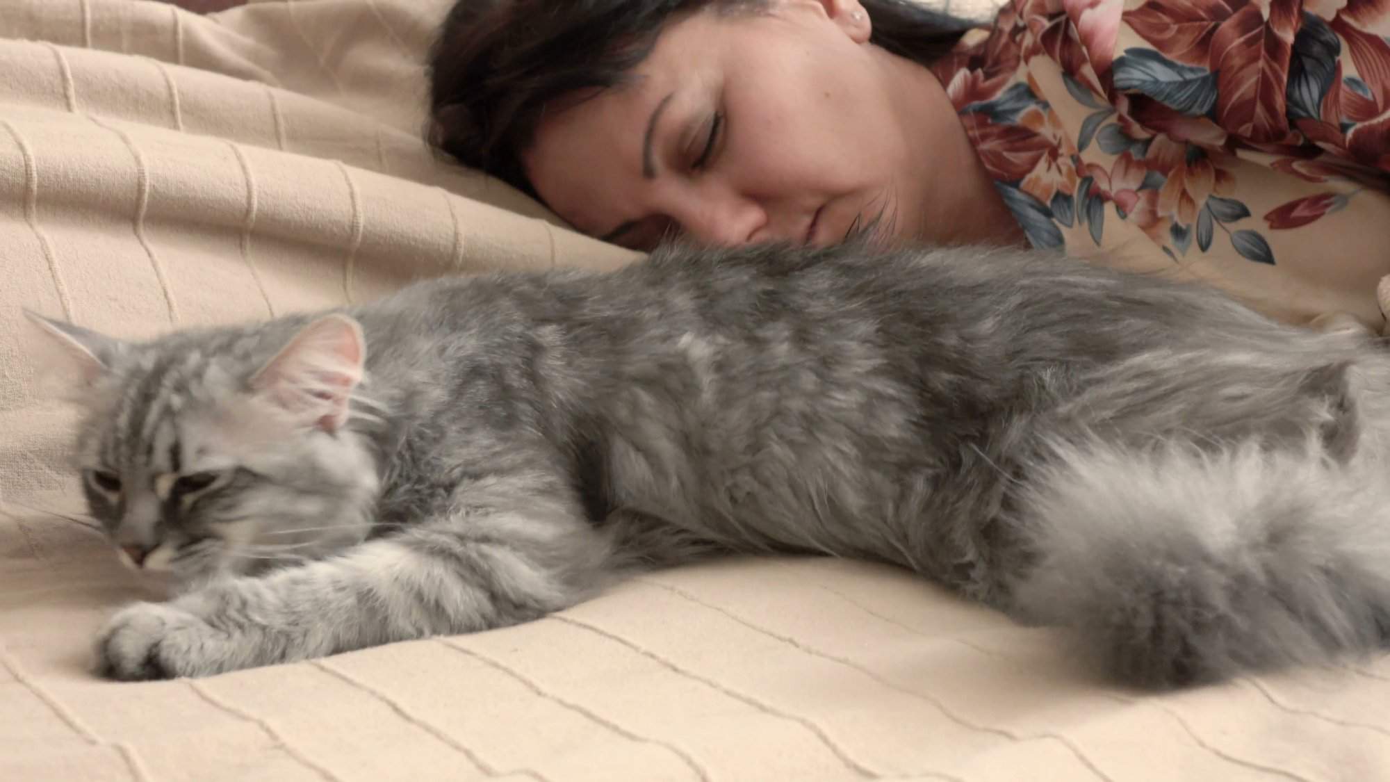 Spanie z kotem (2)