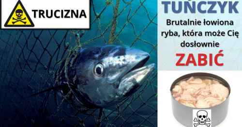 Tuńczyk to trucizna!