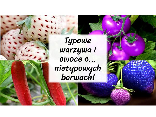 Nietypowe kolory warzyw i owoców