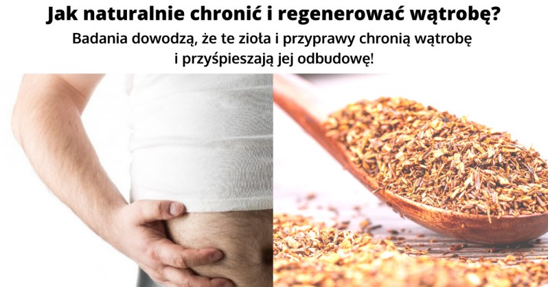 Zioła i przyprawy na wątrobę