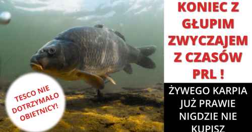 Wigilia bez karpia