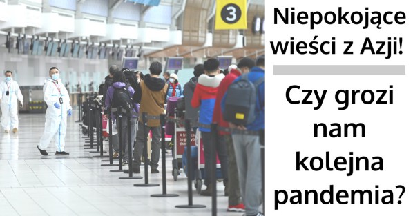Wirus Nipah posiada pandemiczny potencjał! Czy grozi nam kolejna pandemia?
