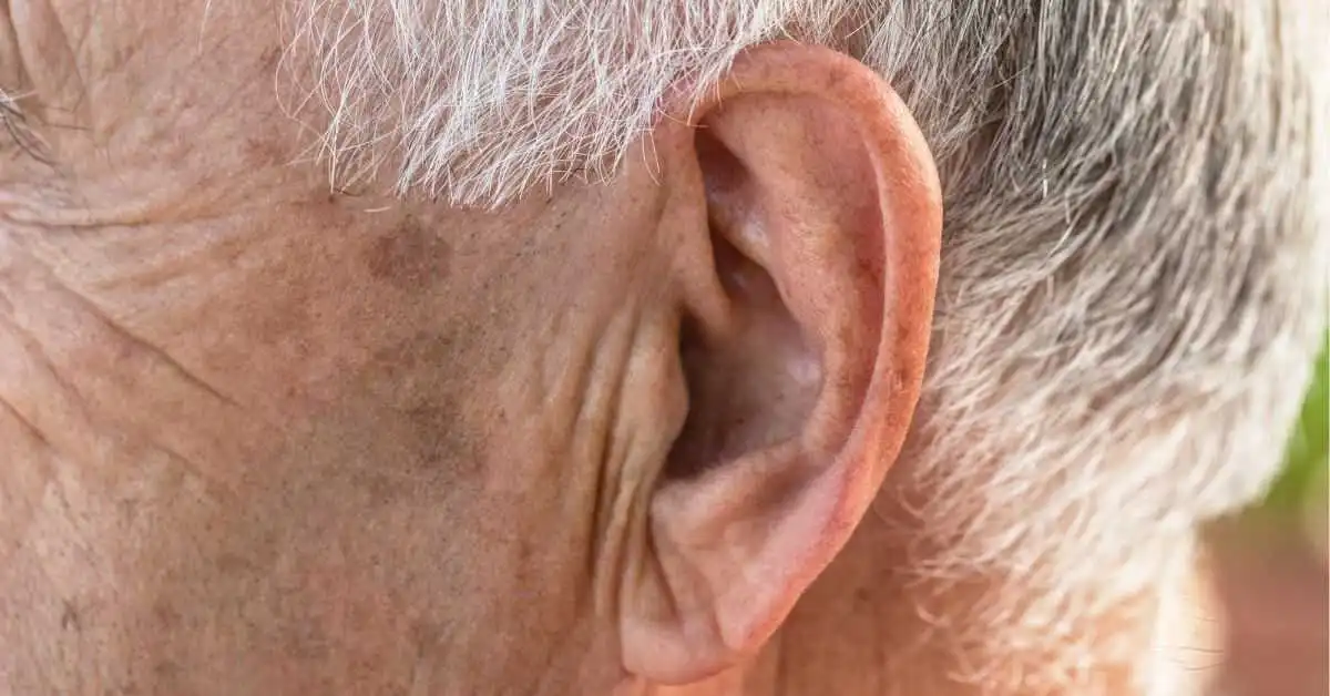 Znak Franka na uchu