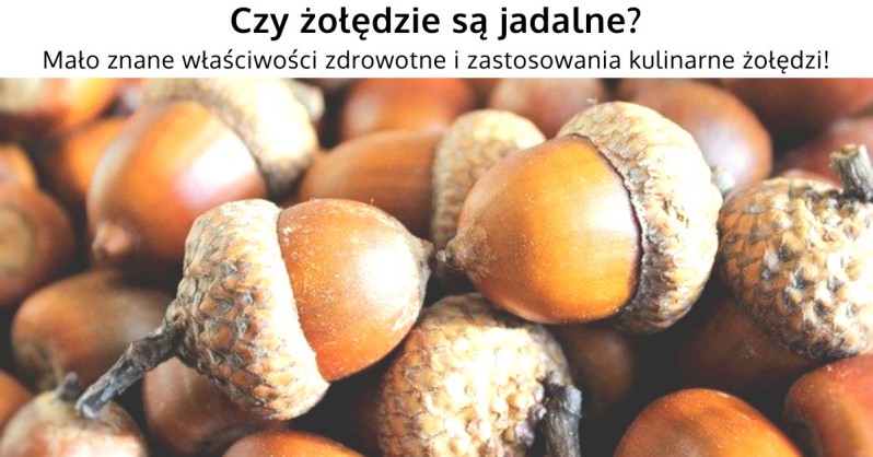Czy żołędzie są jadalne? Czy można je bezpiecznie jeść?