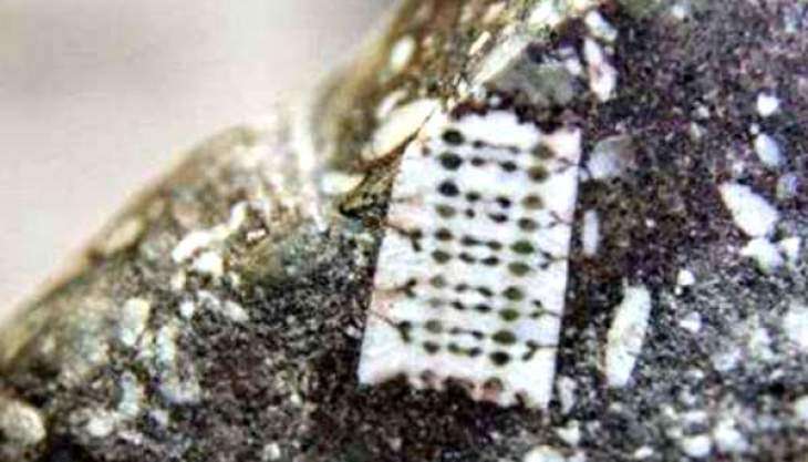 Mikrochip sprzed ponad 250 milionów lat?