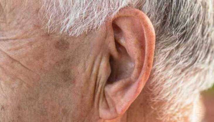 Znak Franka na uchu