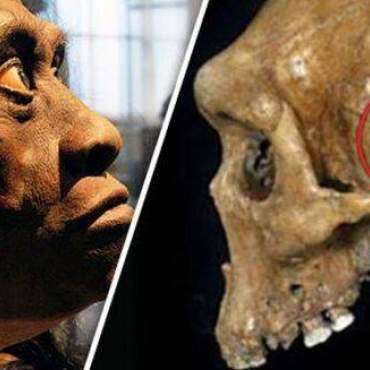 Prehistoryczna czaszka z raną postrzałową zadaną bronią palną