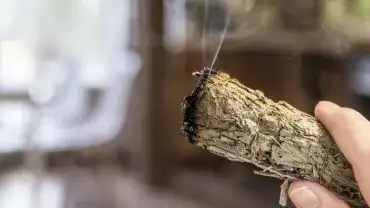 Okadzanie pomieszczeń białą szałwią