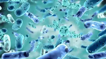 Probiotyki