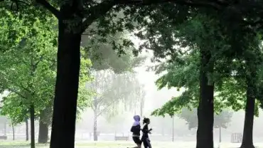 Sport - Maść na urazy