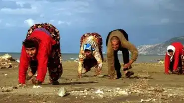 Poruszają się na czworakach