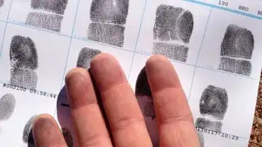 Odciski palców