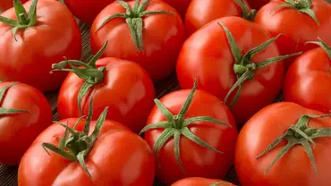 Keczup - Pomidory