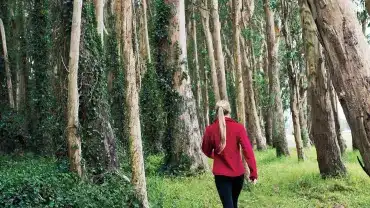 Spacer na obniżenie cukru