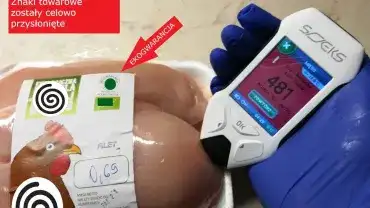 Czy eko kurczak jest zdrowy?