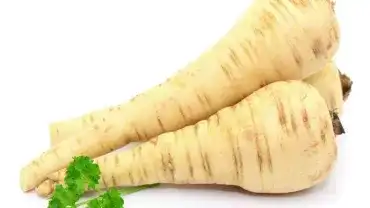 Pietruszka - Korzeń pietruszki
