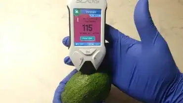 Tester żywności - Pomiar zawartości azotanów