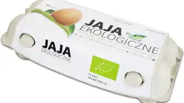 Czy jajka są zdrowe?