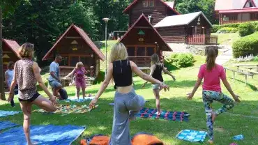 Zamiast telefonu, w las!