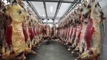 Niebezpieczne substancje w mięsie