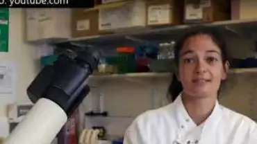 Niezdrowa dieta prowadzi do poważnych uszkodzeń ciała