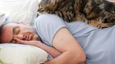 Spanie z kotem w jednym łóżku