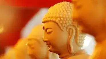 Parma i prawo karmiczne