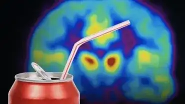 Wpływ słodkiego smaku na mózg