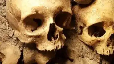 Mielili kości zmarłych i robili z nich mąkę, a następnie piekli chleb