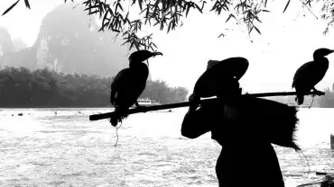 Klątwa - Jakie są oznaki bycia przeklętym?