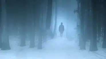 Tajemnicze zaginięcia ludzi na całym świecie - Dlaczego ludzie znikają bez śladu?