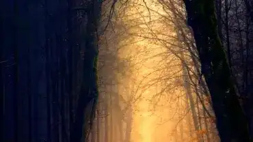 Miejsca mocy w Polsce - Co takiego może tam się wydarzyć?