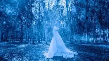 Prawdziwe nawiedzenia - Duchy