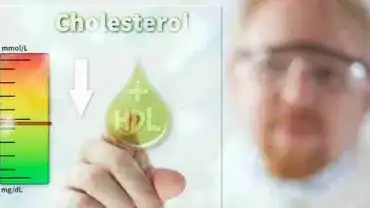 Cholesterol - Normy, dieta, leczenie